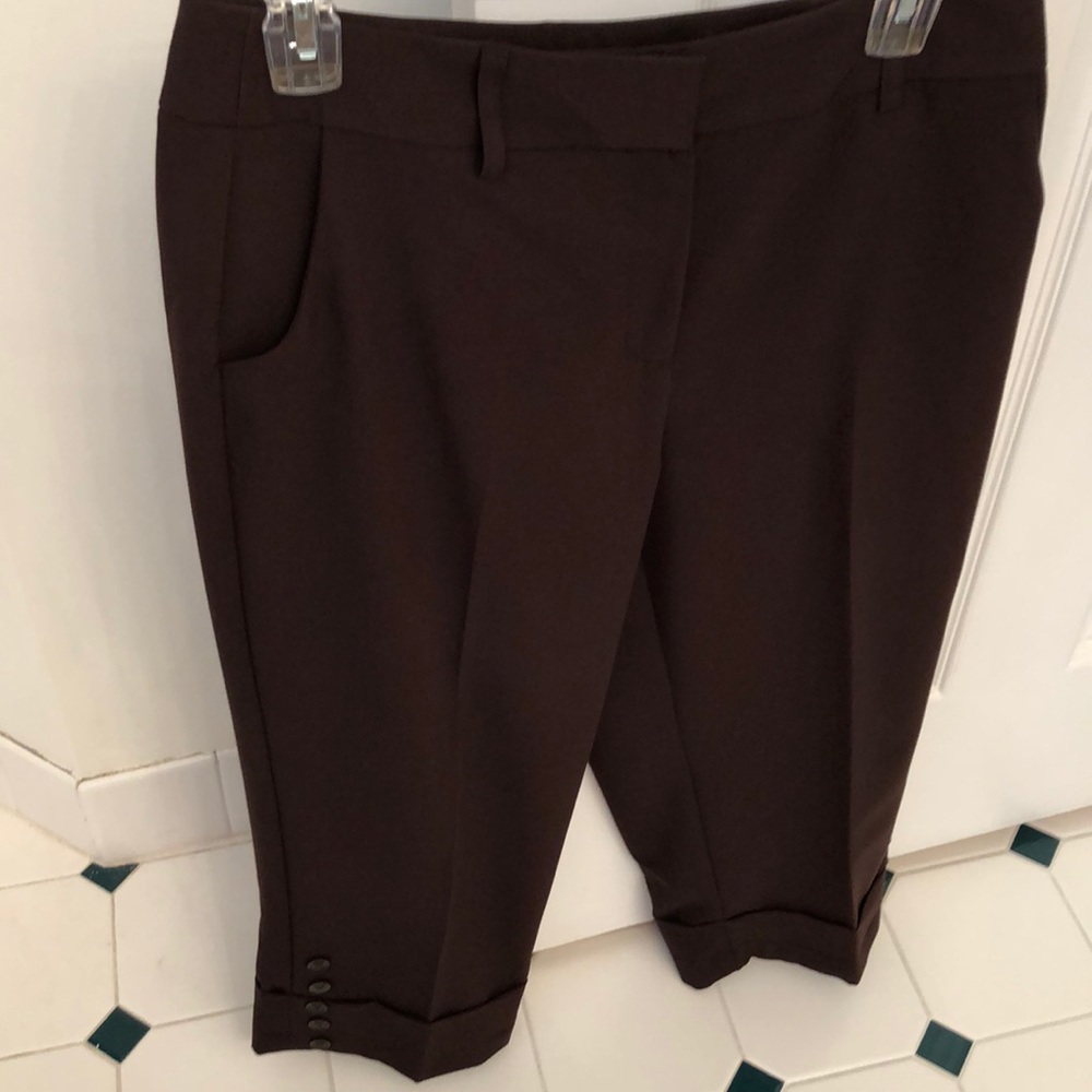 Dress capri pants, never worn